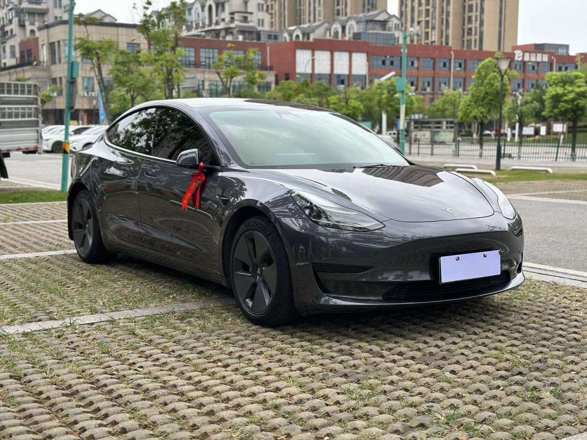 特斯拉 Model 3  2021款 标准续航后驱版图片