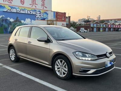 2019年06月 大众 高尔夫 280TSI DSG舒适型图片