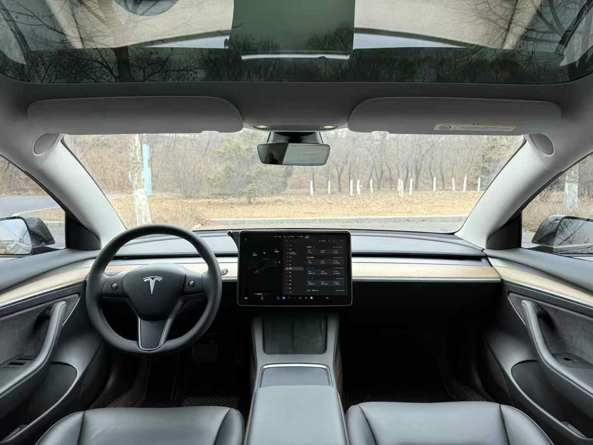 特斯拉 Model Y  2021款 標(biāo)準(zhǔn)續(xù)航后驅(qū)版圖片