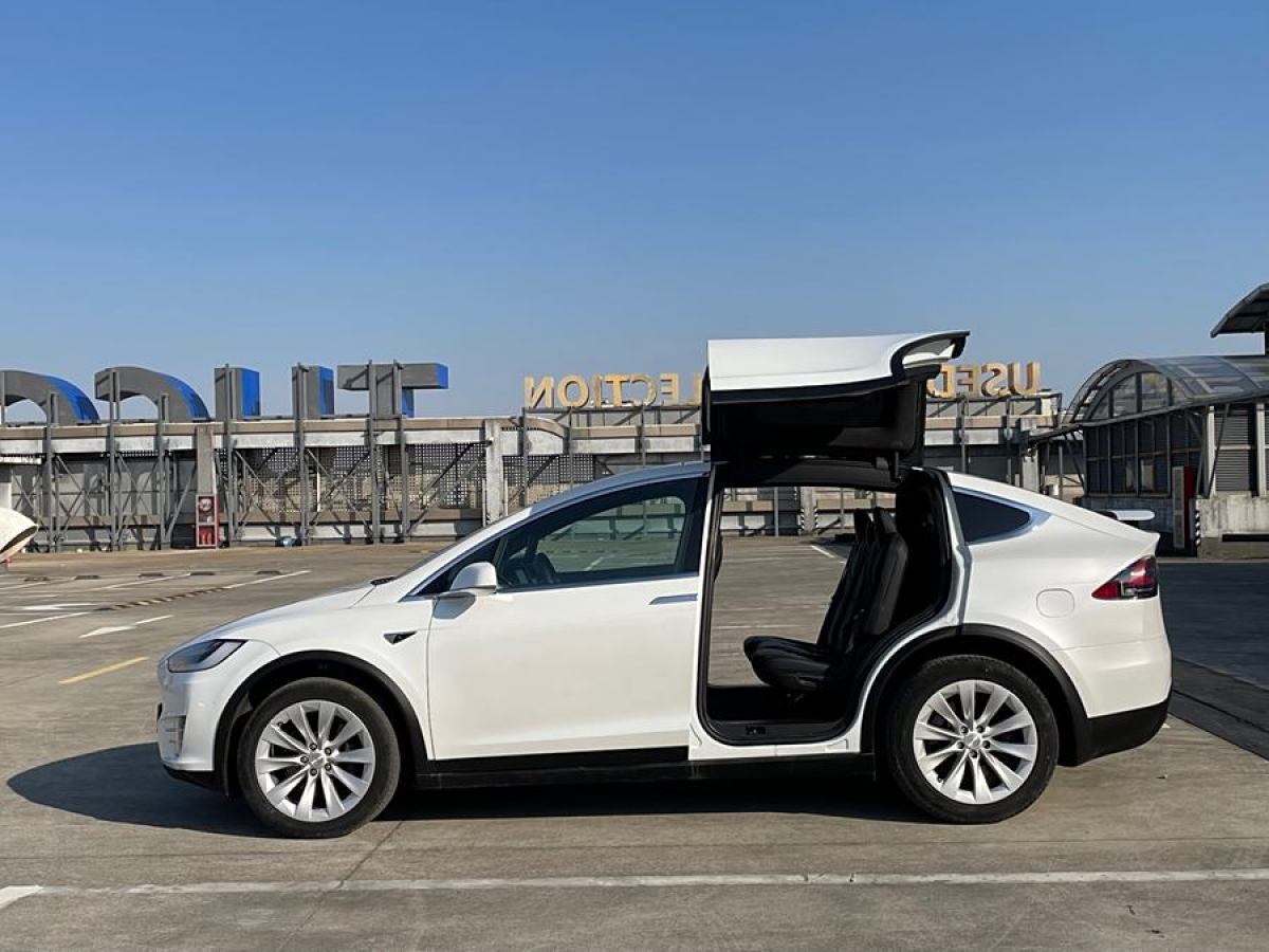 特斯拉 Model X  2019款 長續(xù)航版圖片