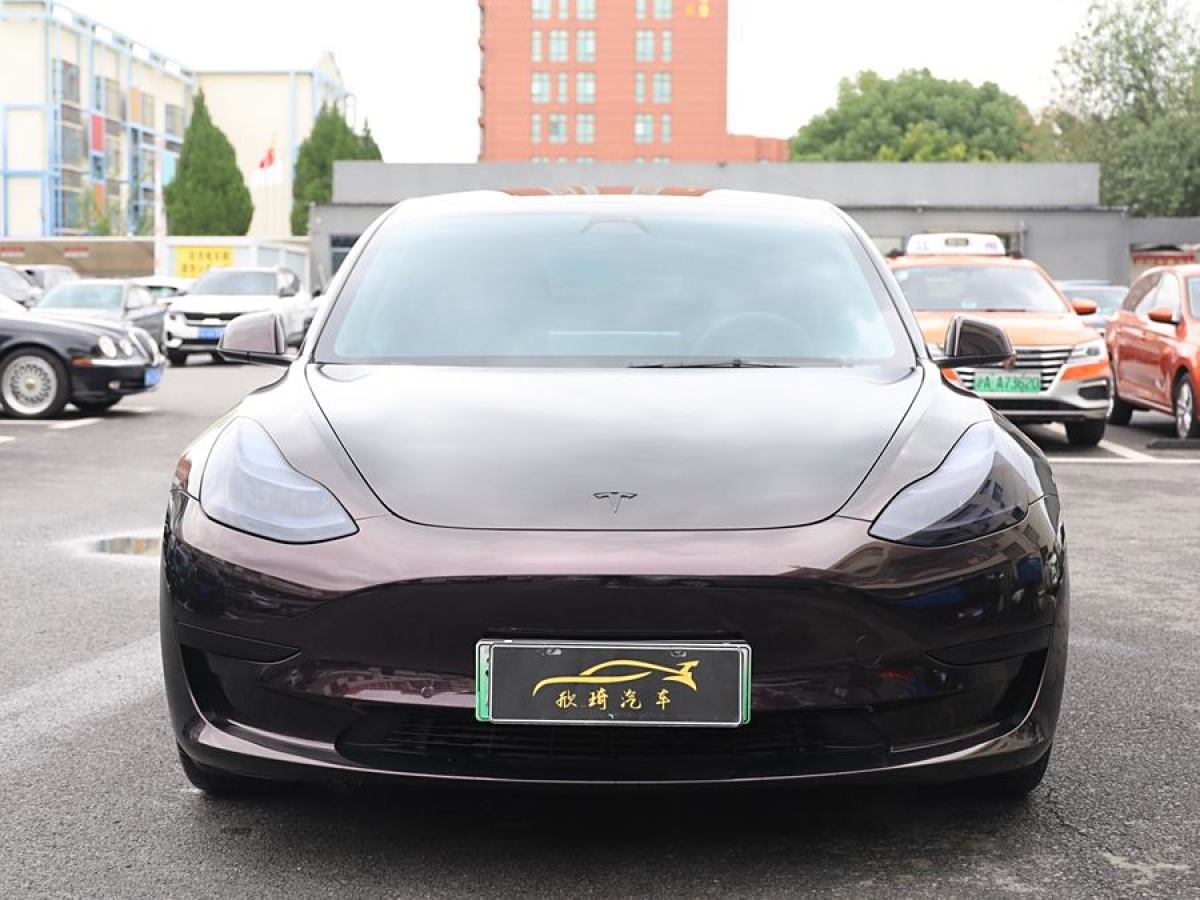 特斯拉 Model 3  2019款 標(biāo)準(zhǔn)續(xù)航后驅(qū)升級(jí)版圖片