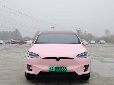 2020年6月 特斯拉 Model X 標(biāo)準(zhǔn)續(xù)航版圖片