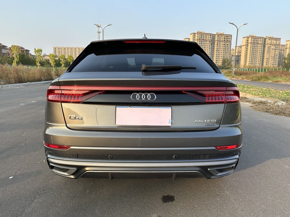 奧迪 奧迪Q8  2019款 55 TFSI 豪華動(dòng)感型圖片