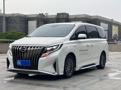 2020年12月 广汽传祺 M8 大师系列 390T 至尊版图片