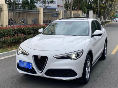 2019年7月 阿爾法·羅密歐 Stelvio 2.0T 200HP 精英版圖片