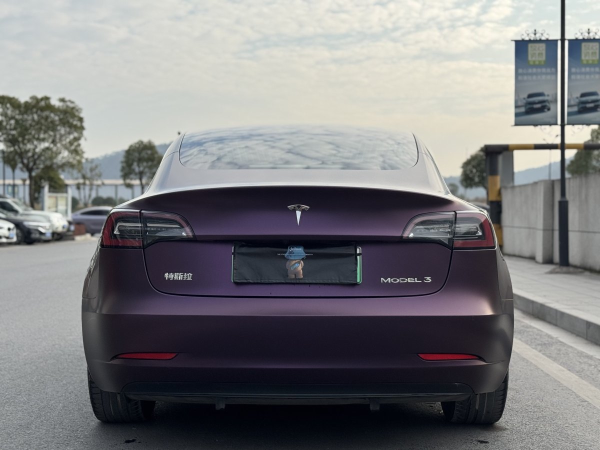 特斯拉 Model 3  2019款 標(biāo)準(zhǔn)續(xù)航后驅(qū)升級(jí)版圖片