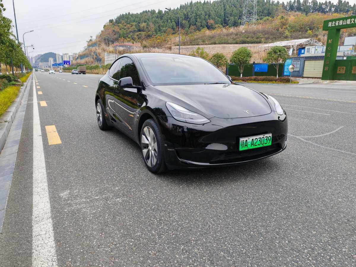 特斯拉 Model 3  2020款 改款 長續(xù)航后輪驅(qū)動版圖片