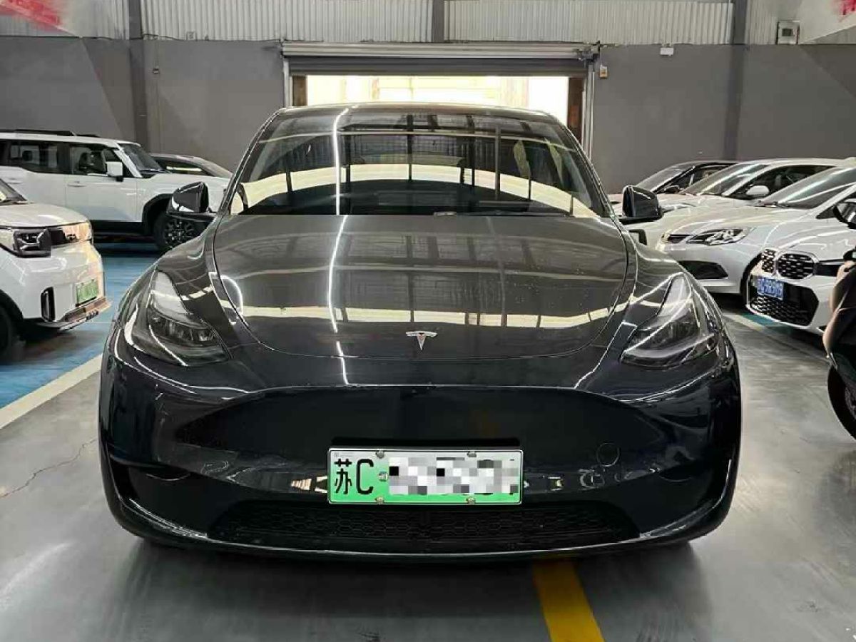 特斯拉 Model Y  2024款 Performance高性能版圖片