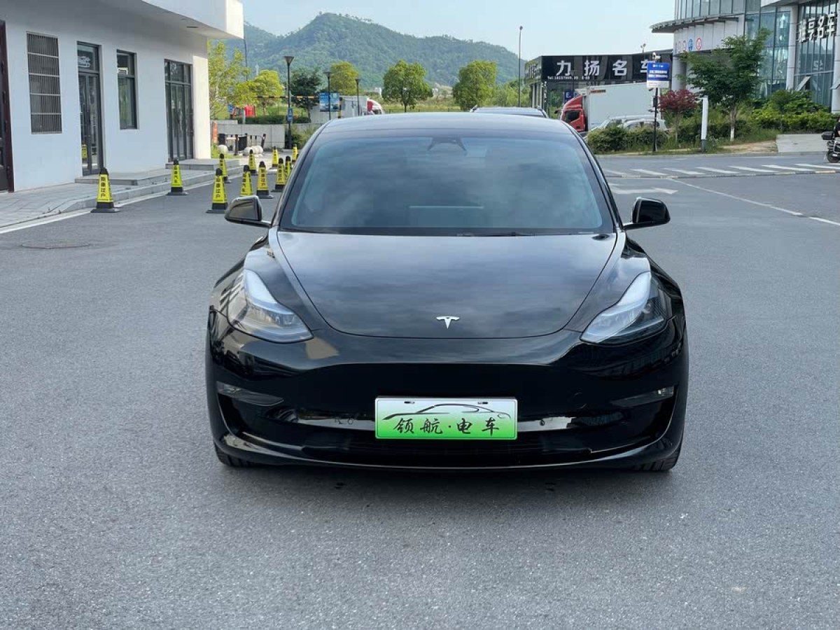 特斯拉 Model 3  2022款 Performance高性能全輪驅(qū)動(dòng)版圖片