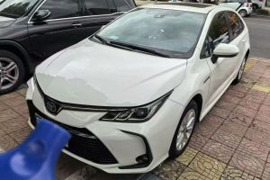 卡羅拉 豐田 基本型