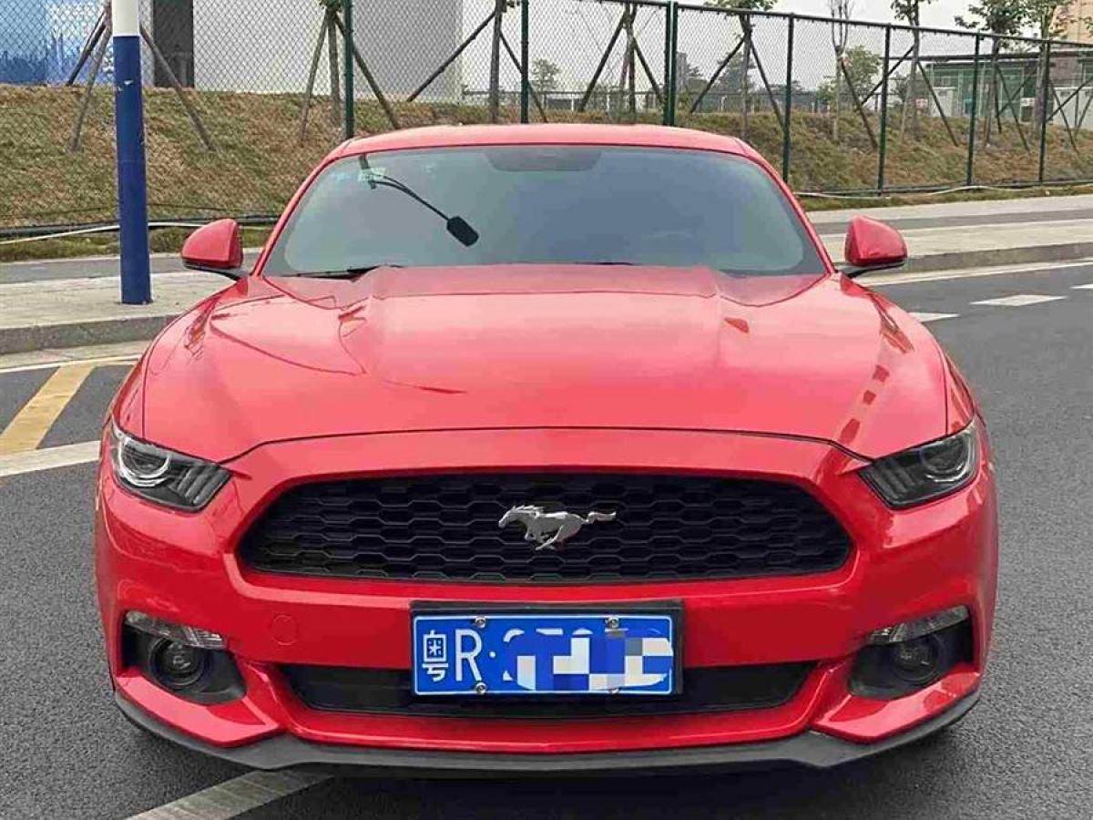 福特 Mustang  2015款 2.3T 性能版圖片