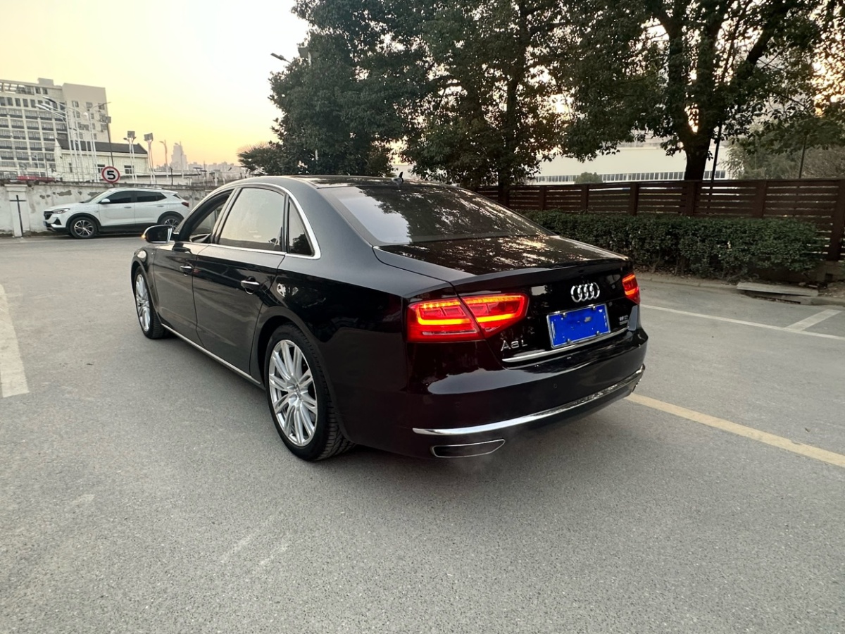 奧迪 奧迪A8  2013款 A8L 6.3 FSI W12 quattro專享型圖片