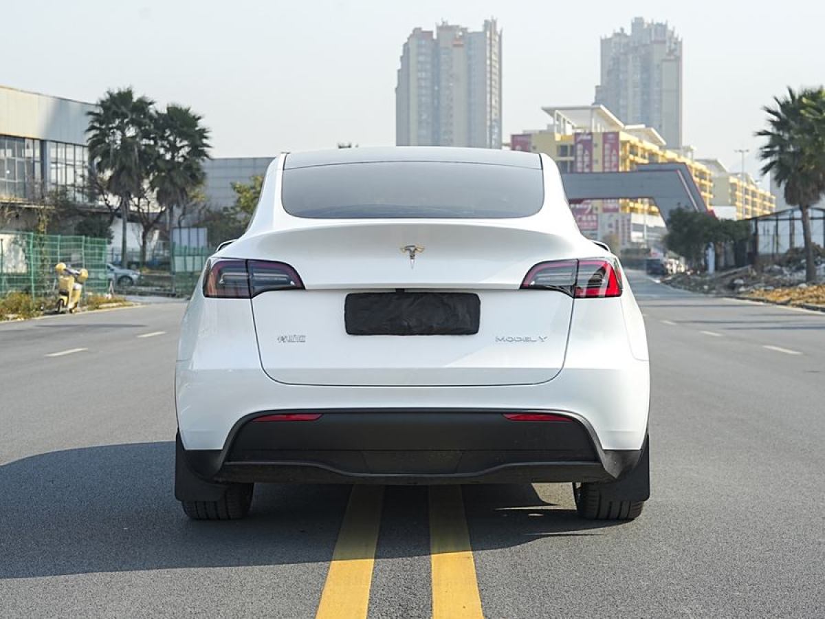 特斯拉 Model 3  2020款 改款 長(zhǎng)續(xù)航后輪驅(qū)動(dòng)版圖片