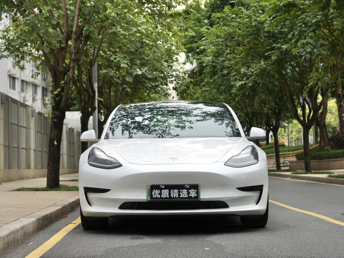 特斯拉 Model 3  2020款 改款 標準續(xù)航后驅升級版圖片