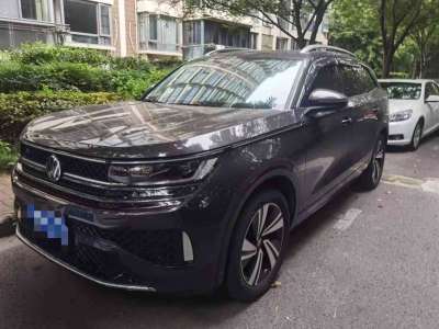 2023年1月 大众 揽巡 380TSI 四驱R-Line巡游版图片