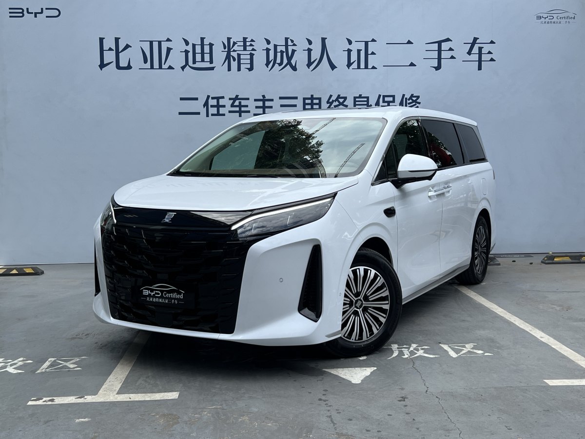 2025年2月比亞迪 宋Pro新能源  2025款 DM-i 115KM超越型