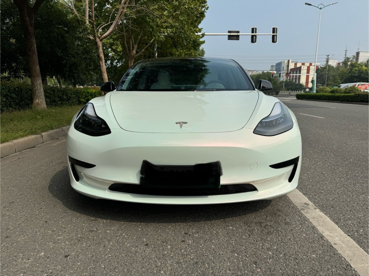 2022年9月特斯拉 Model 3  2022款 改款 后輪驅(qū)動(dòng)版