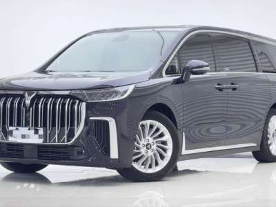 2024年5月 嵐圖 夢想家 PHEV 超長續(xù)航卓越版圖片