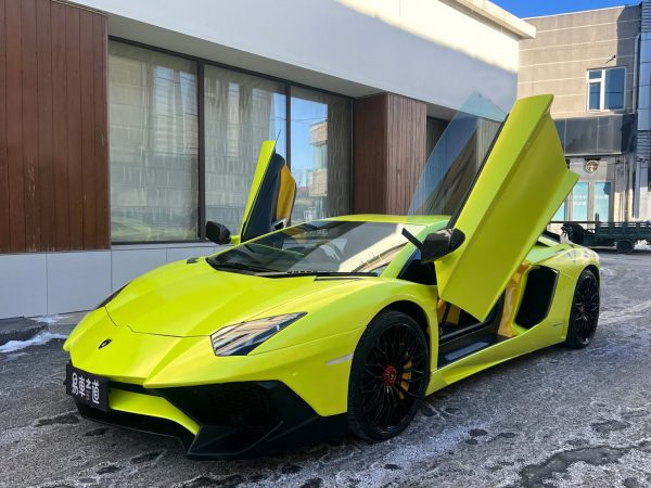 兰博基尼 Aventador 兰博基尼Aventador2013款 Aventador LP 700-4 50周年纪念版