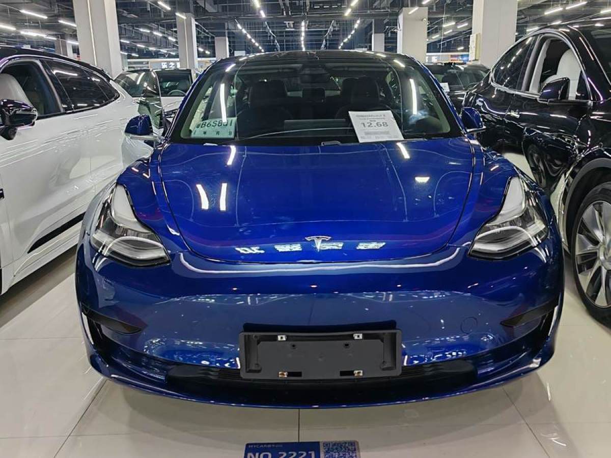 特斯拉 Model 3  2020款 改款 標準續(xù)航后驅(qū)升級版圖片