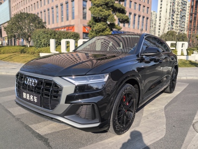 2023年5月 奧迪 奧迪Q8(進口) 45 TFSI 豪華動感型圖片