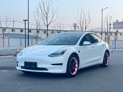 2019年12月 特斯拉 Model 3 標準續(xù)航后驅(qū)升級版圖片