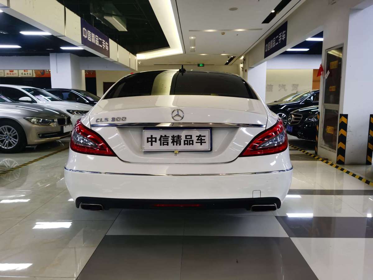 奔驰 奔驰cls级 2012款 cls 300 cgi图片