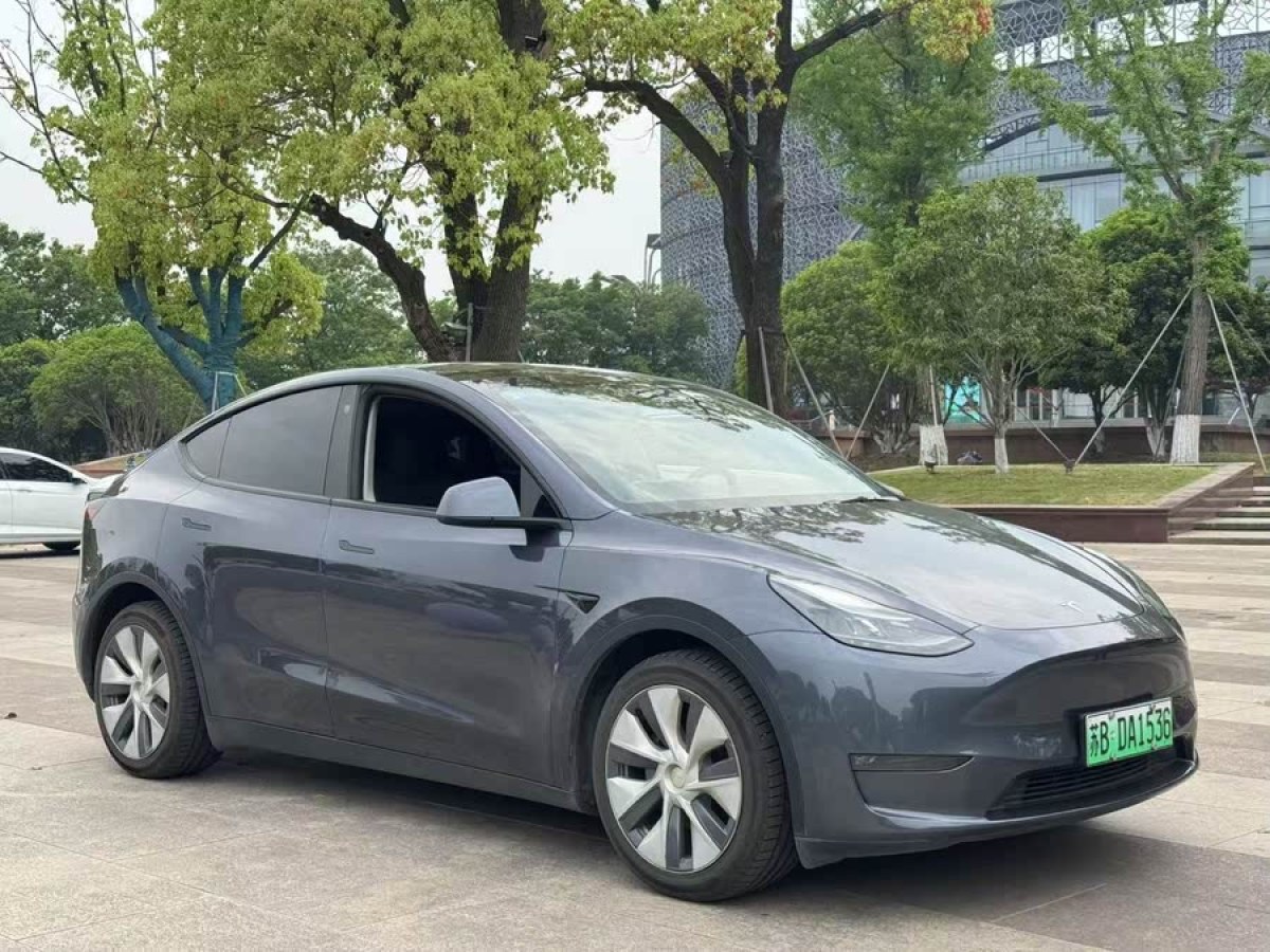 特斯拉 Model Y  2021款 標(biāo)準續(xù)航后驅(qū)版圖片