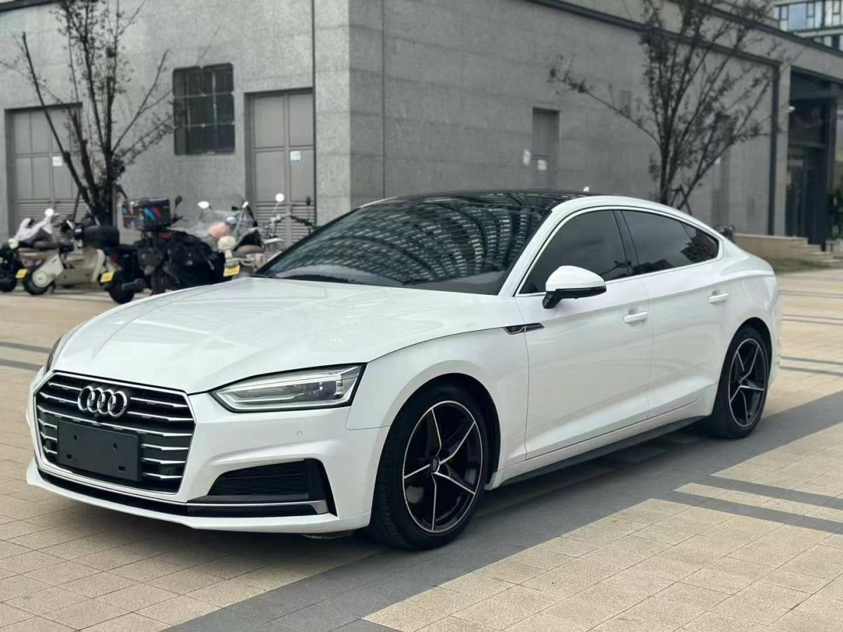 奧迪 奧迪Q5  2018款 典藏版 40 TFSI 進(jìn)取型圖片