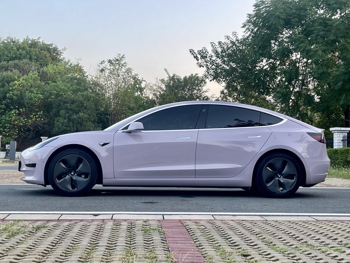 特斯拉 Model Y  2020款 改款 標(biāo)準(zhǔn)續(xù)航后驅(qū)升級(jí)版圖片