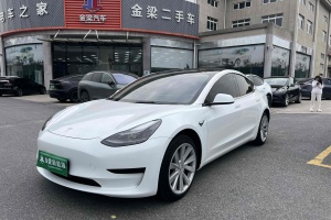 Model 3 特斯拉 标准续航后驱升级版