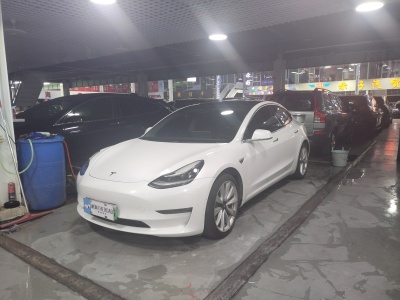 2020年7月 特斯拉 Model 3 改款 長續(xù)航后輪驅(qū)動版圖片