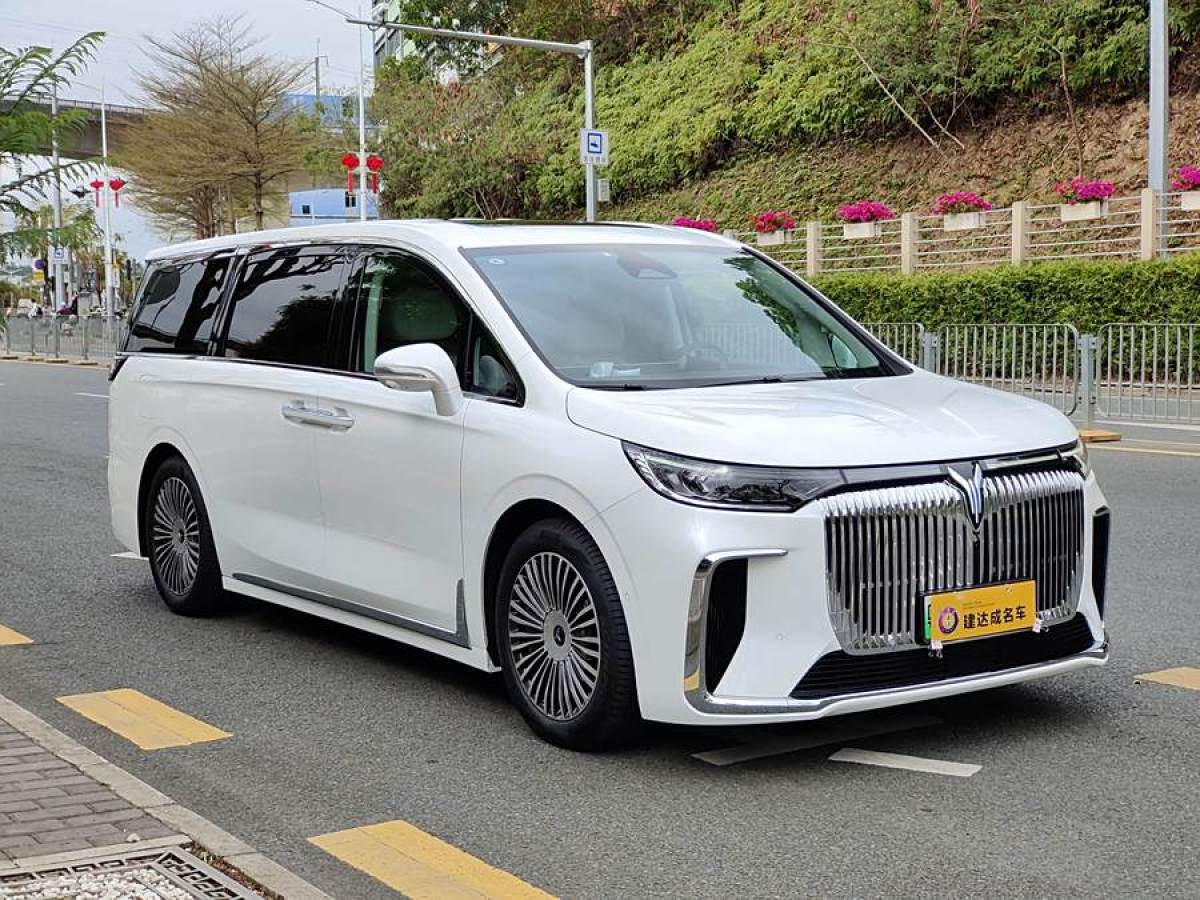 嵐圖 夢(mèng)想家  2025款 PHEV 四驅(qū)旗艦鯤鵬版圖片