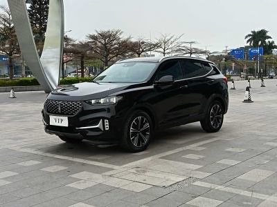 2020年10月 WEY VV6 2.0T 兩驅(qū)智護(hù)+圖片