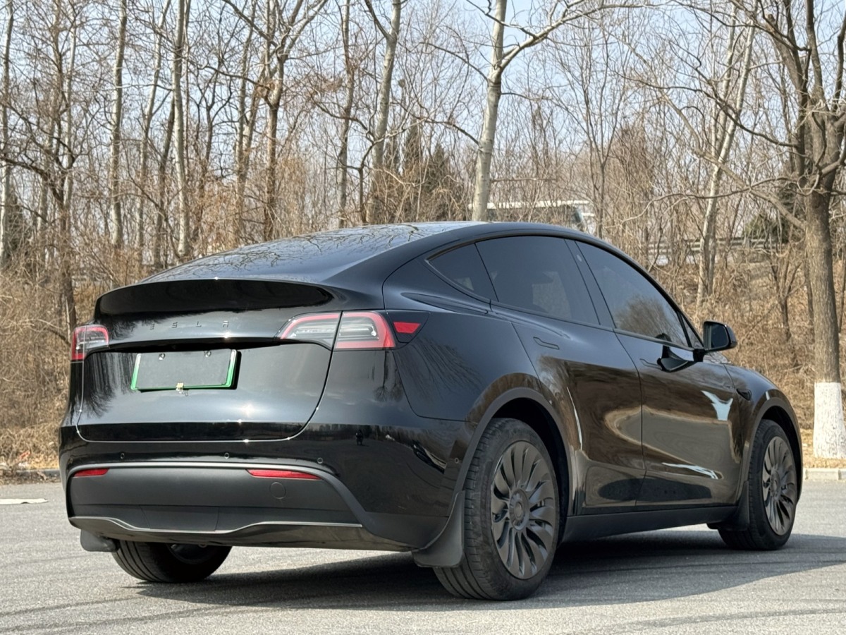 特斯拉 Model Y  2022款 改款 長(zhǎng)續(xù)航全輪驅(qū)動(dòng)版圖片