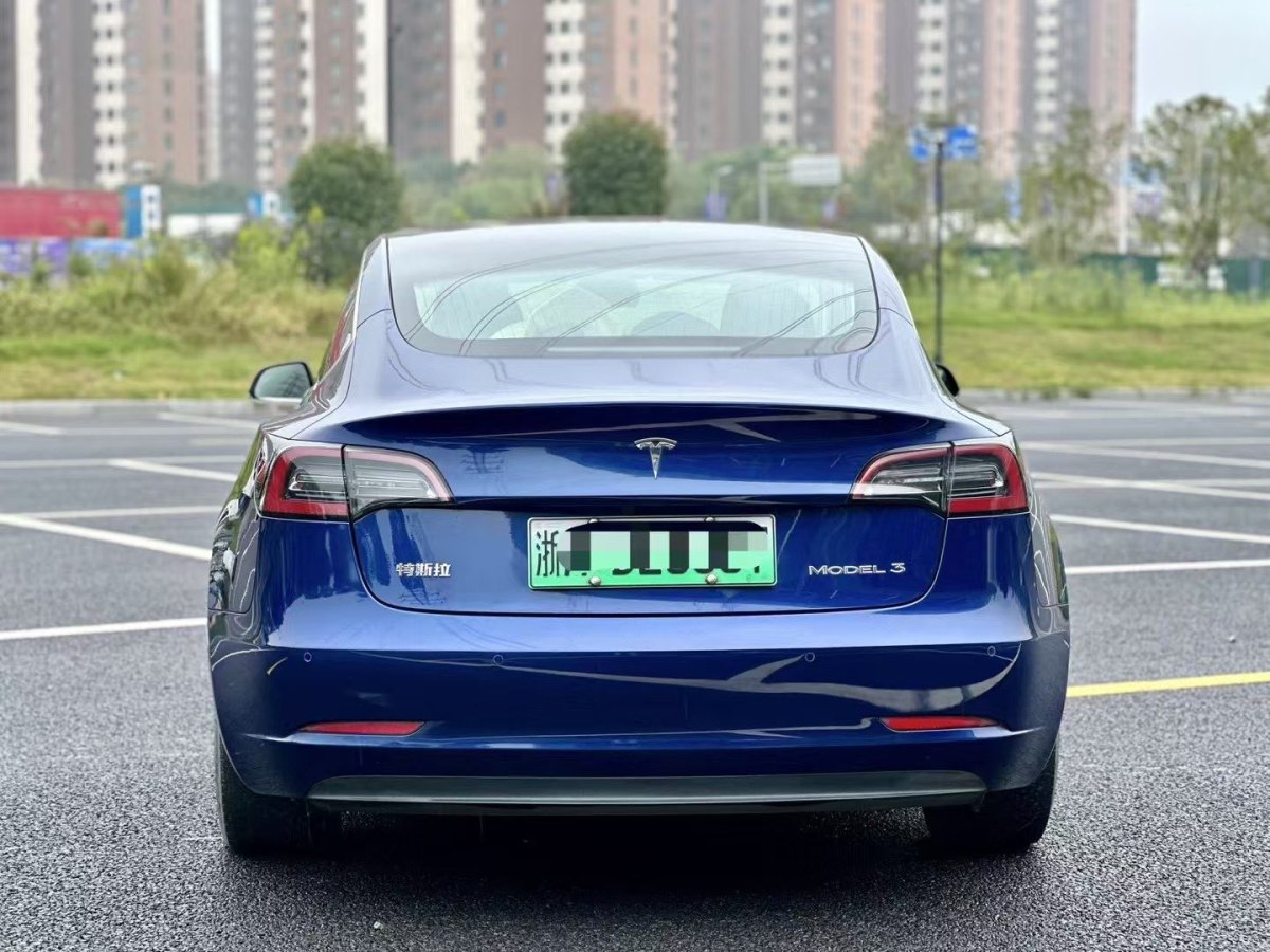 特斯拉 Model 3  2019款 標(biāo)準(zhǔn)續(xù)航后驅(qū)升級(jí)版圖片