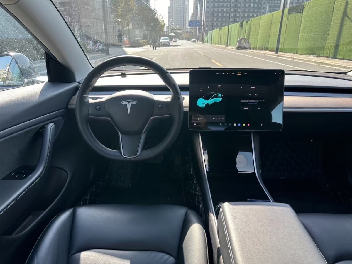 特斯拉 Model 3  2019款 Performance高性能全輪驅動版圖片