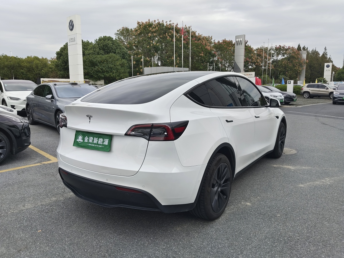 特斯拉 Model Y  2023款 長(zhǎng)續(xù)航煥新版 雙電機(jī)全輪驅(qū)動(dòng)圖片