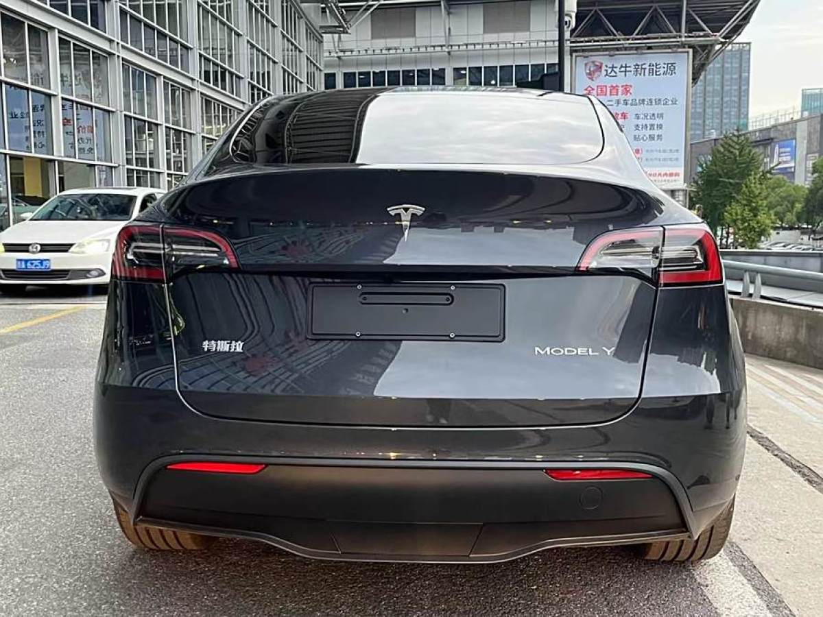 特斯拉 Model Y  2020款 改款 長續(xù)航后輪驅(qū)動(dòng)版圖片