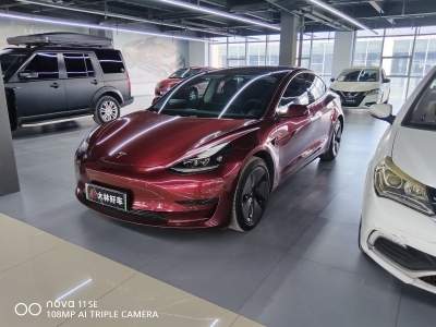 2021年3月 特斯拉 Model 3 標(biāo)準(zhǔn)續(xù)航后驅(qū)升級(jí)版圖片