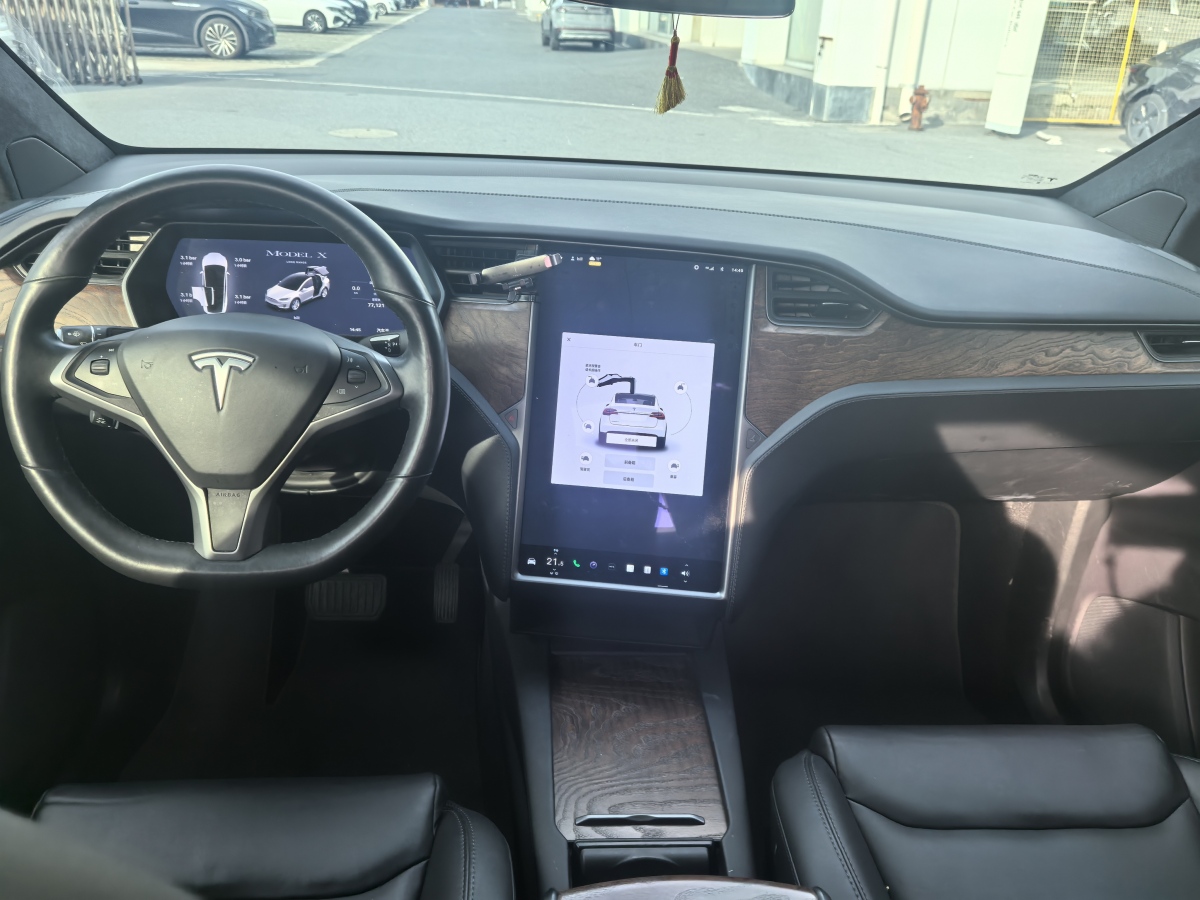 特斯拉 Model X  2019款 長續(xù)航版圖片