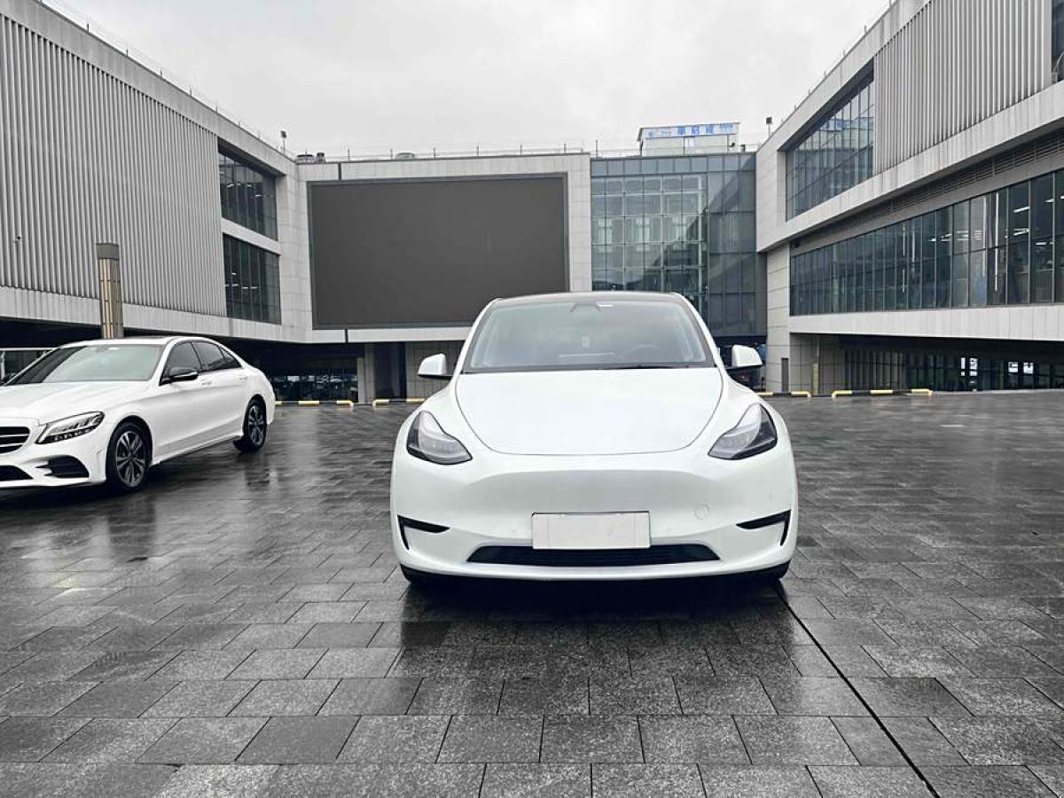 特斯拉 Model 3  2021款 改款 Performance高性能全輪驅(qū)動版圖片