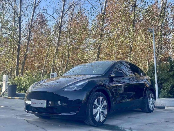 特斯拉 Model Y  2022款 后轮驱动版