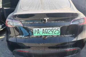 Model 3 特斯拉 Performance高性能全輪驅(qū)動版