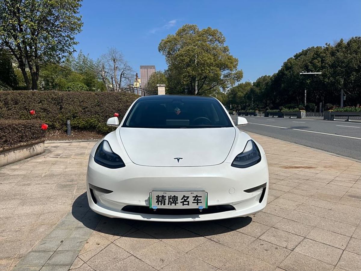 特斯拉 Model 3  2020款 改款 長續(xù)航后輪驅(qū)動版圖片