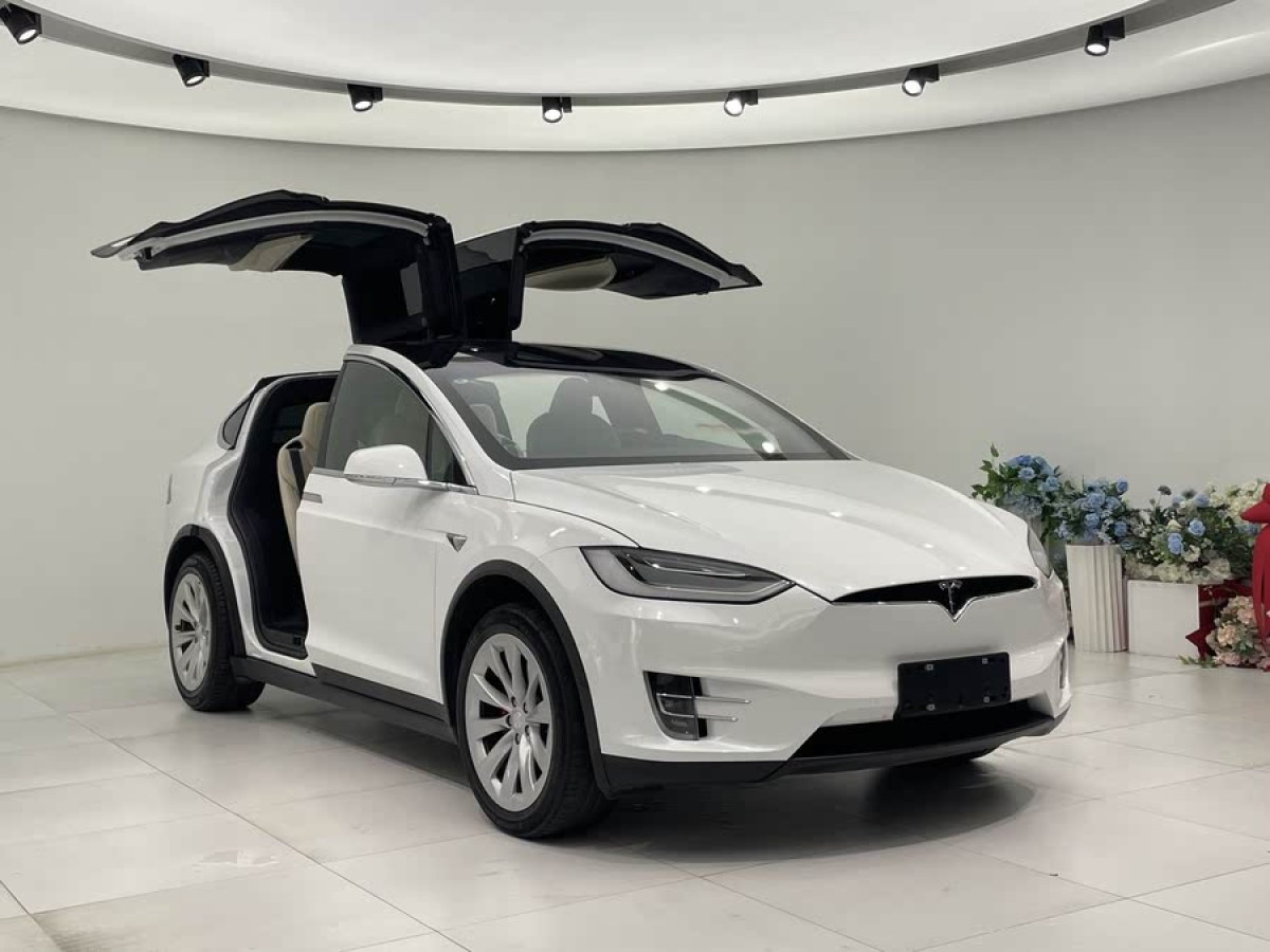 特斯拉 Model X  2020款 Performance 高性能版圖片