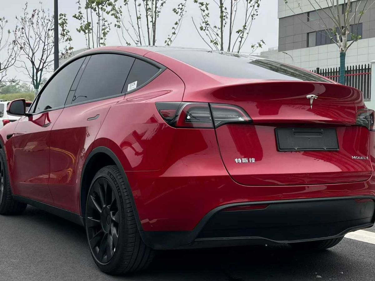 特斯拉 Model Y  2024款 Performance高性能版圖片