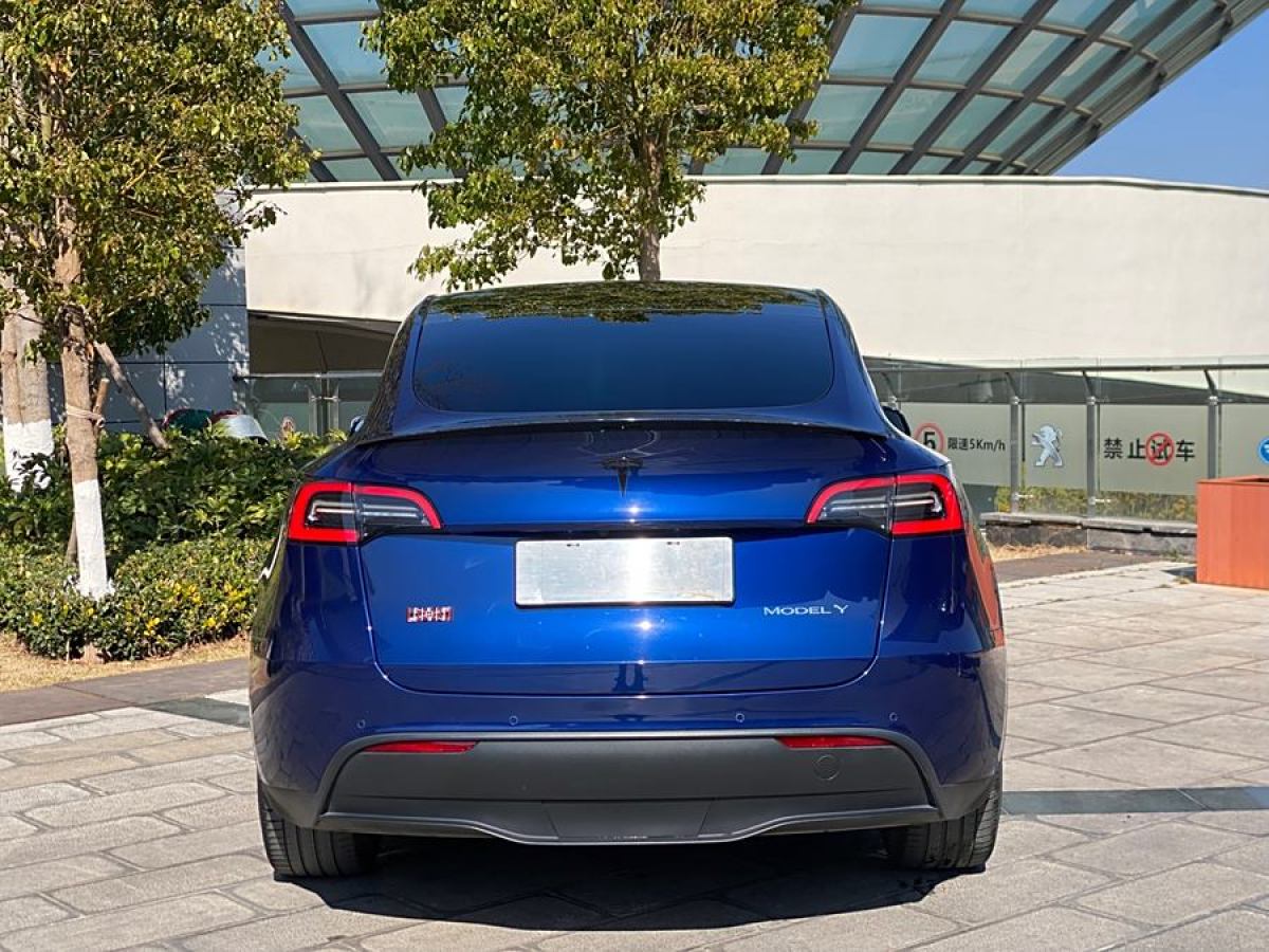 特斯拉 Model Y  2021款 改款 長續(xù)航全輪驅(qū)動(dòng)版圖片