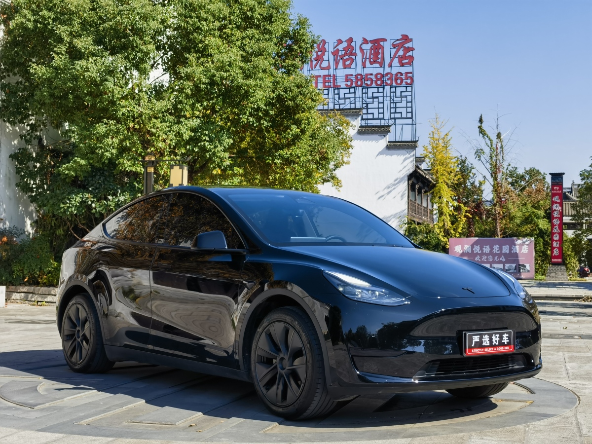 特斯拉 Model Y  2023款 煥新版 后輪驅(qū)動圖片