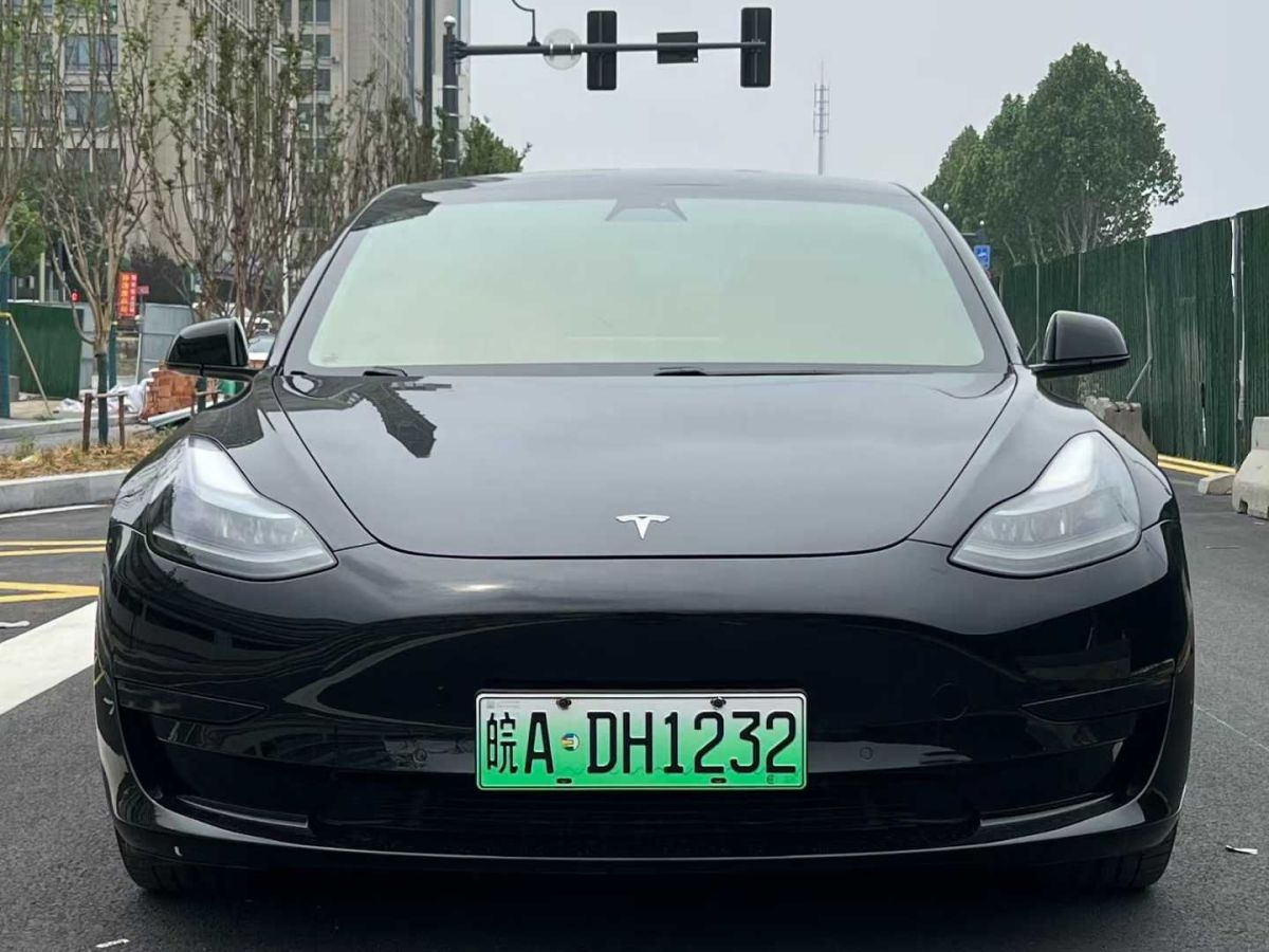 特斯拉 Model S  2021款 Performance 高性能版圖片